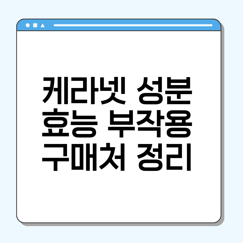 케라넷 효능 부작용